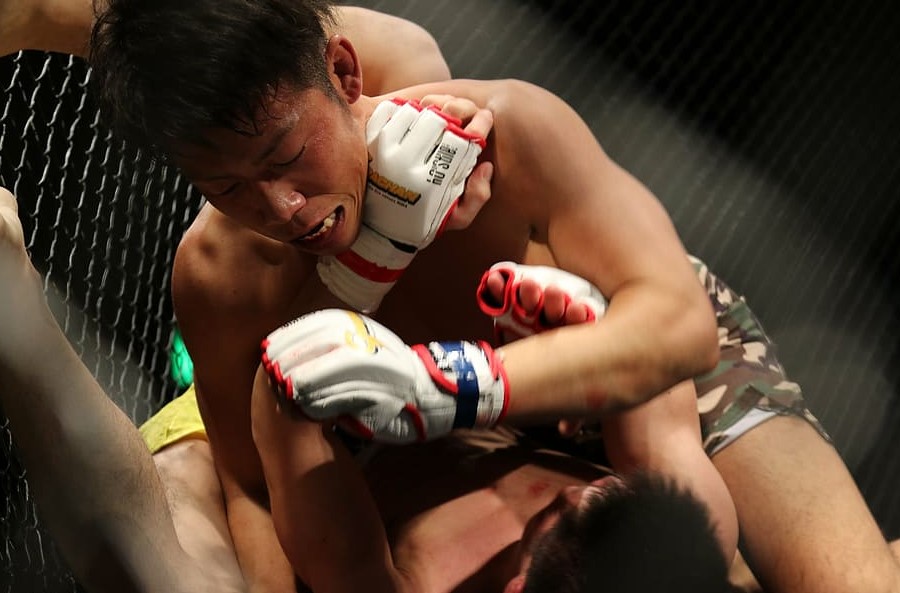 Catégories poids MMA